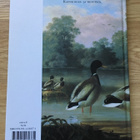 Von Wright -veljesten linnut (kovakantinen kirja) - pikkukuva 2