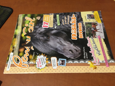 PENNY GIRL 9/2014 HYVÄ
