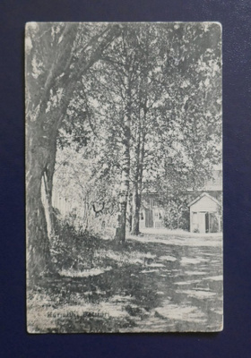 KARJAA - Viipuri Plevna 1909