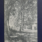 KARJAA - Viipuri Plevna 1909 - pikkukuva 1