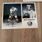 Dave Pulkkinen Team Issue 3kpl - pikkukuva 2