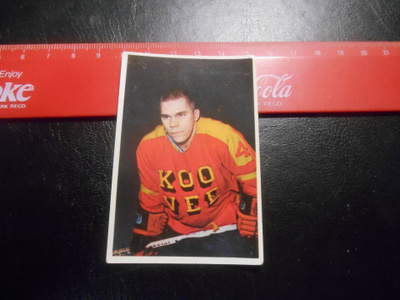 K15 Jenkki Jääkiekko-sarja  # 102 Juhani Tammi Koo-Vee