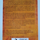 Laurie Helgoe : Introversion voima : miksi sisäinen maail... - pikkukuva 2