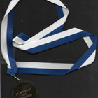 Mitali - SM-metsätaito 2012 joukkuekisa - pikkukuva 2