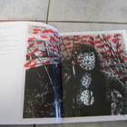 Yayoi Kusama - äärettömyydessä - pikkukuva 3