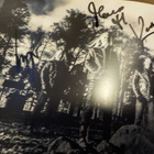 NIGHTWISH - ENDLESS FORMS MOST BEAUTIFUL CD 5:LLÄ NIMMARILLA - pikkukuva 2