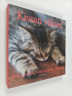 Kissan viikset! Kissamaisia näkemyksiä elämästä