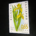 Bulgaria 2003: kasveja - pikkukuva 5