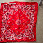 Bandana huivi - pikkukuva 1