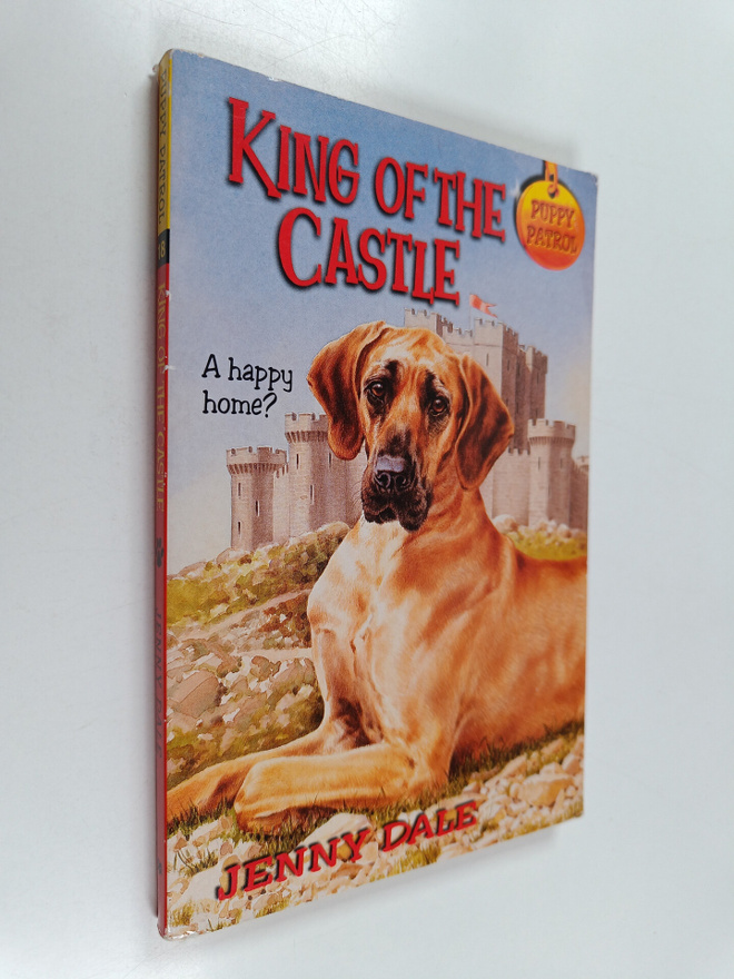 Jenny Dale : King of the Castle