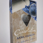 Anna Gavalda : Consolation - pikkukuva 1