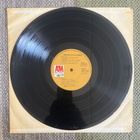 WALDO DE LOS RIOS - SYMPHONIES FOR THE SEVENTIES (LP) 1971 - pikkukuva 3