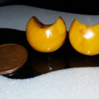 Vintage Baltic Amber EGG YOLK Meripihka korvakorut - pikkukuva 2