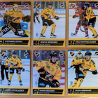 2025-26 Blueline Series 1 KalPa Team Set 12 korttia (61-72) - pikkukuva 1