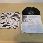 SPERMBIRDS - Nothing Is Easy LP - pikkukuva 2