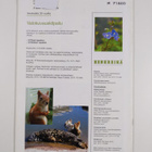 Henkireikä 1/2006 - pikkukuva 2