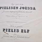 VANHA Kartta Purjeväylä Pielinen Joensuu Jakokoski 1877 - pikkukuva 2