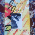 James Joyce Dublinilaisia - pikkukuva 1