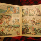 Kuvitettuja klassikkoja 34 Kesäyön unelma - pikkukuva 2