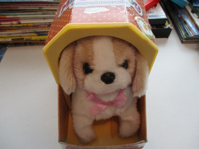 MAGIC DOG LELUKOIRA