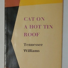 Tennessee Williams - Cat on a Hot Tin Roof - pikkukuva 1