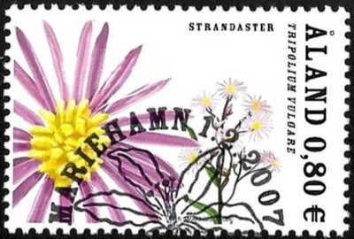 Åland 2007 Rantakukkia 0,80 € EP alareuna LOISTO LaPe 273