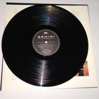 GEMINI LP - pikkukuva 4