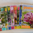 KOTIPUUTARHA 2013 VUOSIKERTA - pikkukuva 1