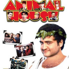 Delta-Jengi - DVD - pikkukuva 1