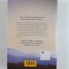 Khaled Hosseini : Ja vuoret kaikuivat - pikkukuva 2
