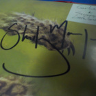 GARBAGE - STRANGE LITTLE BIRDS UUSI 2LP NELJÄLLÄ NIMMARILLA - pikkukuva 4