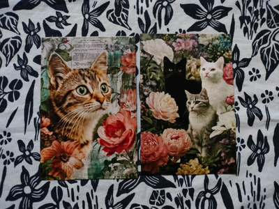~Kissa kortti~ 2kpl
