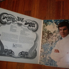 BOBBY VEE - Do What You Gotta Do - LP 1968 pop rock EX- - pikkukuva 3