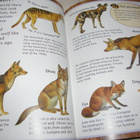 Clarke - Hersey Scary Creatures Wolves - pikkukuva 3