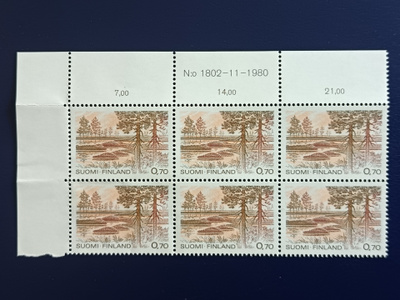 -81 Kauhaneva