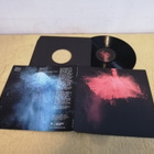 THE FISH POLICE - The Marzipan Transformations LP - pikkukuva 1