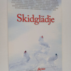 Skidglädje - det bästa ur Åka Skidor : en antologi - pikkukuva 1