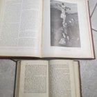 NYA TESTAMENTET v 1907 BIBLIA tms kirja 1863 ( EDELFELT YM - pikkukuva 5