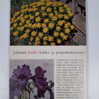 Terttu Kalevi : Kukkiva koti ja puutarha - pikkukuva 2