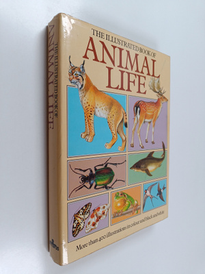 Jana Horackova : The Illustrated Book of Animal Life