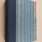 Defensor legis 1995 - pikkukuva 1