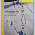 Metsästäjä 1-4 / 1982 (Numero 3 puuttuu) - pikkukuva 2