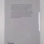 Penny Vincenzi : Vaarallisilla poluilla - pikkukuva 2