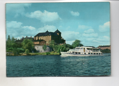 Hämeenlinna: Roine linnan tuntumassa