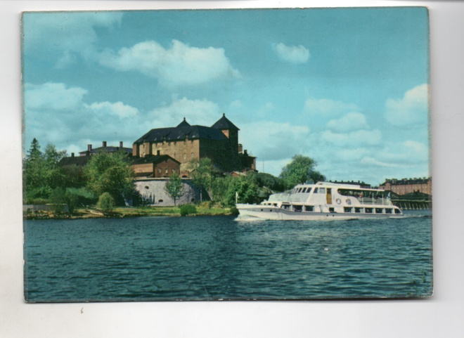 Hämeenlinna: Roine linnan tuntumassa