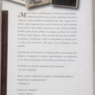 IB MICHAEL: VANILJATYTTÖ (KOVAKANTINEN) - pikkukuva 5