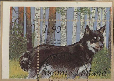 1989 Lapin porokoira HELSINKI er.kaunis