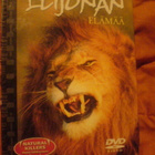 Leijonan elämää , DVD + kirjanen - pikkukuva 1