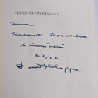 Pentti Holappa : Peikkokuninkaat : novelleja (signeerattu... - pikkukuva 3