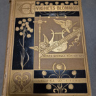 Evighetsblommor (kuv. 1881, C. Larsson) - pikkukuva 1